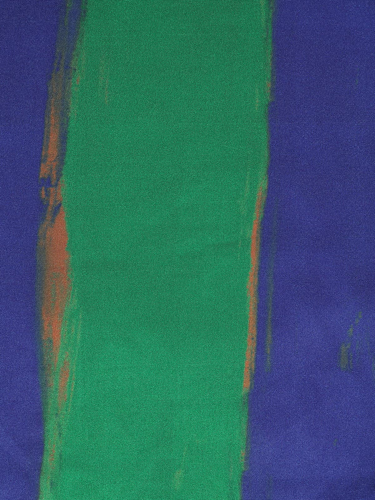 Hapnix® Yeşil Kontrast 5" Yüzme Şortları - Şıklık ve Konfor