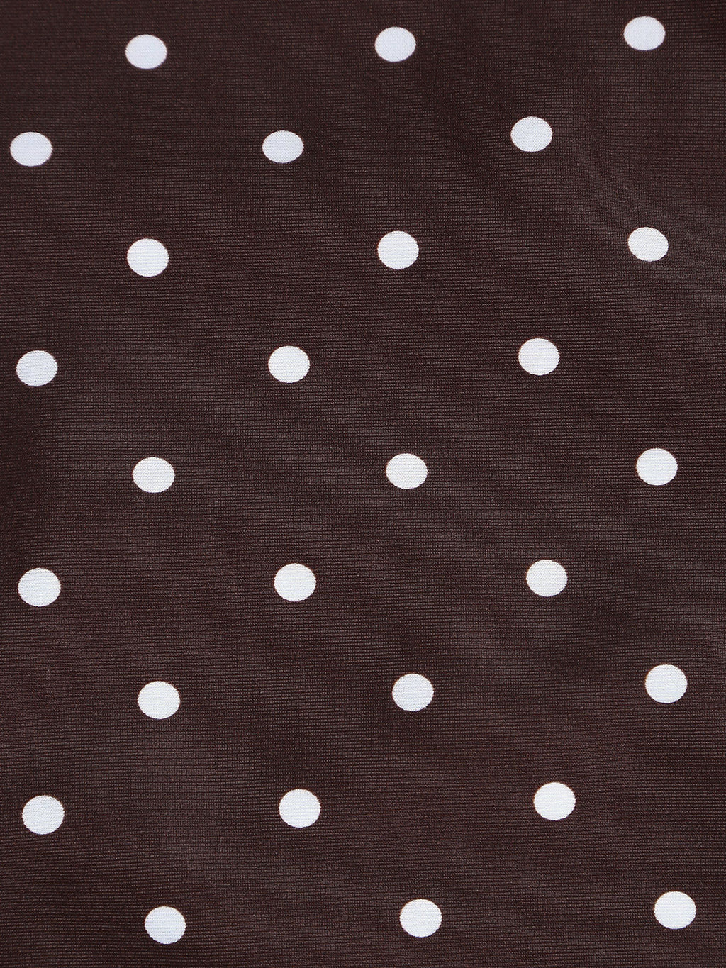Kadın Büyük Beden Kahverengi Puantiye Bikini Altı